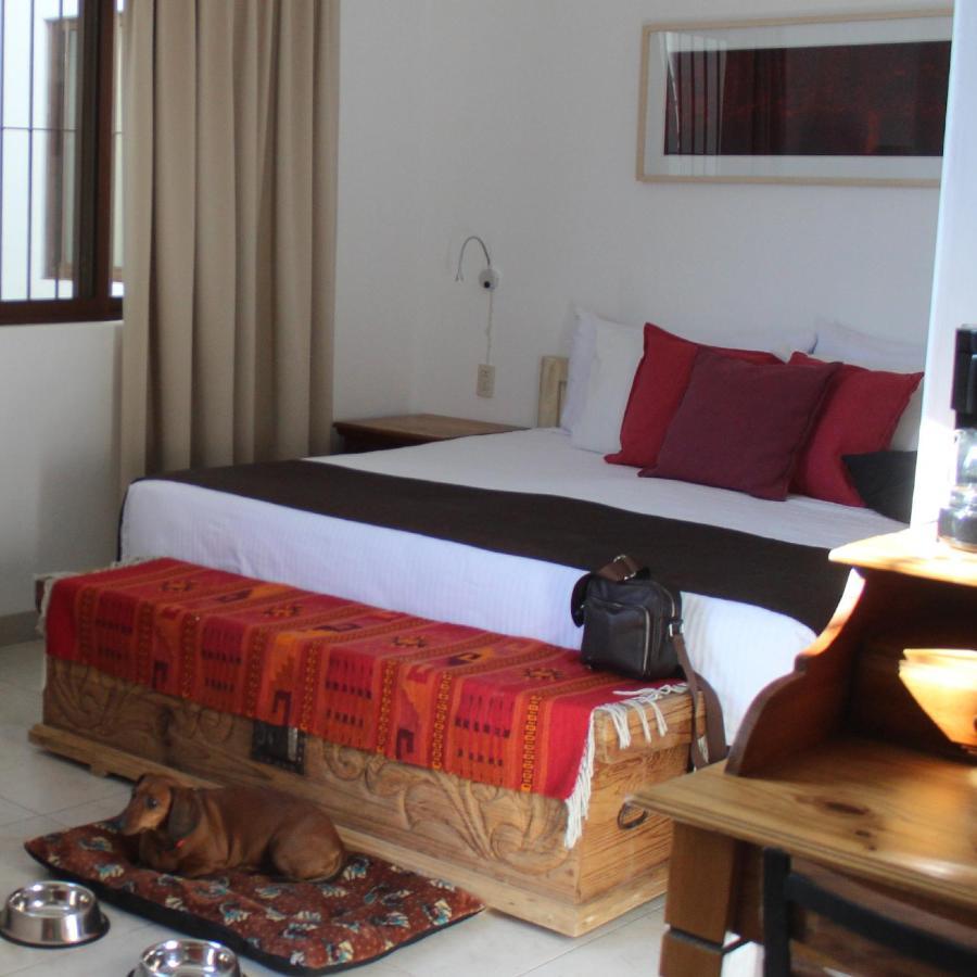 La Cochinilla Hotel Boutique Oaxaca Exteriér fotografie